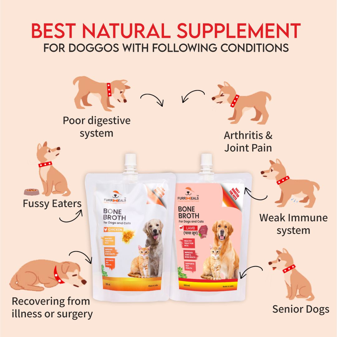 FurrMeals Bone broth as a natural supplement for better health of dogs