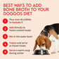 5 ways to add FurrMeals Bone broth to dog's diet