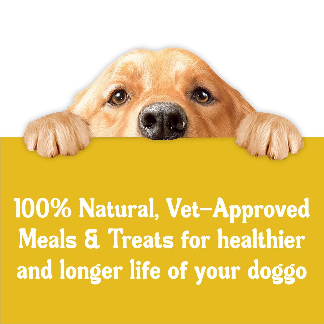 Buddy's Favourite Combo - 100% Natural Meals, Broth & Jerky