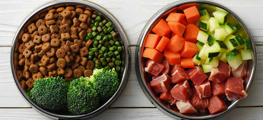 Top 5 Reasons to Switch to Fresh Dog Food from Kibble