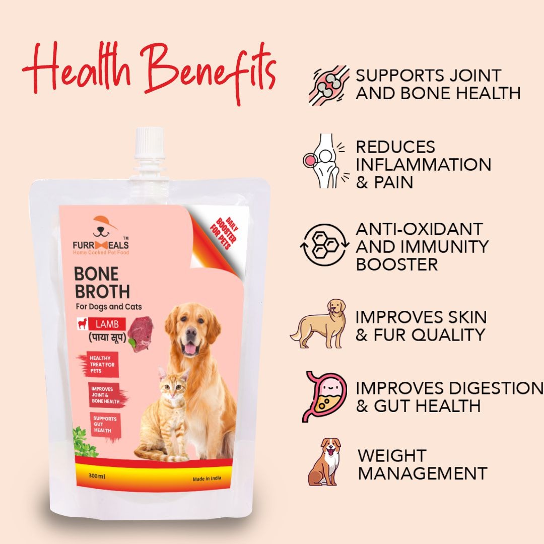 Bone broth 2025 dog benefits