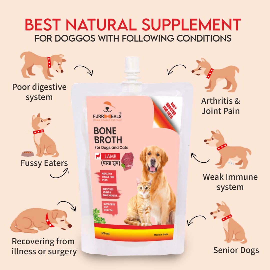 FurrMeals Lamb Bone Broth for Dogs Cats I Subscribe Save