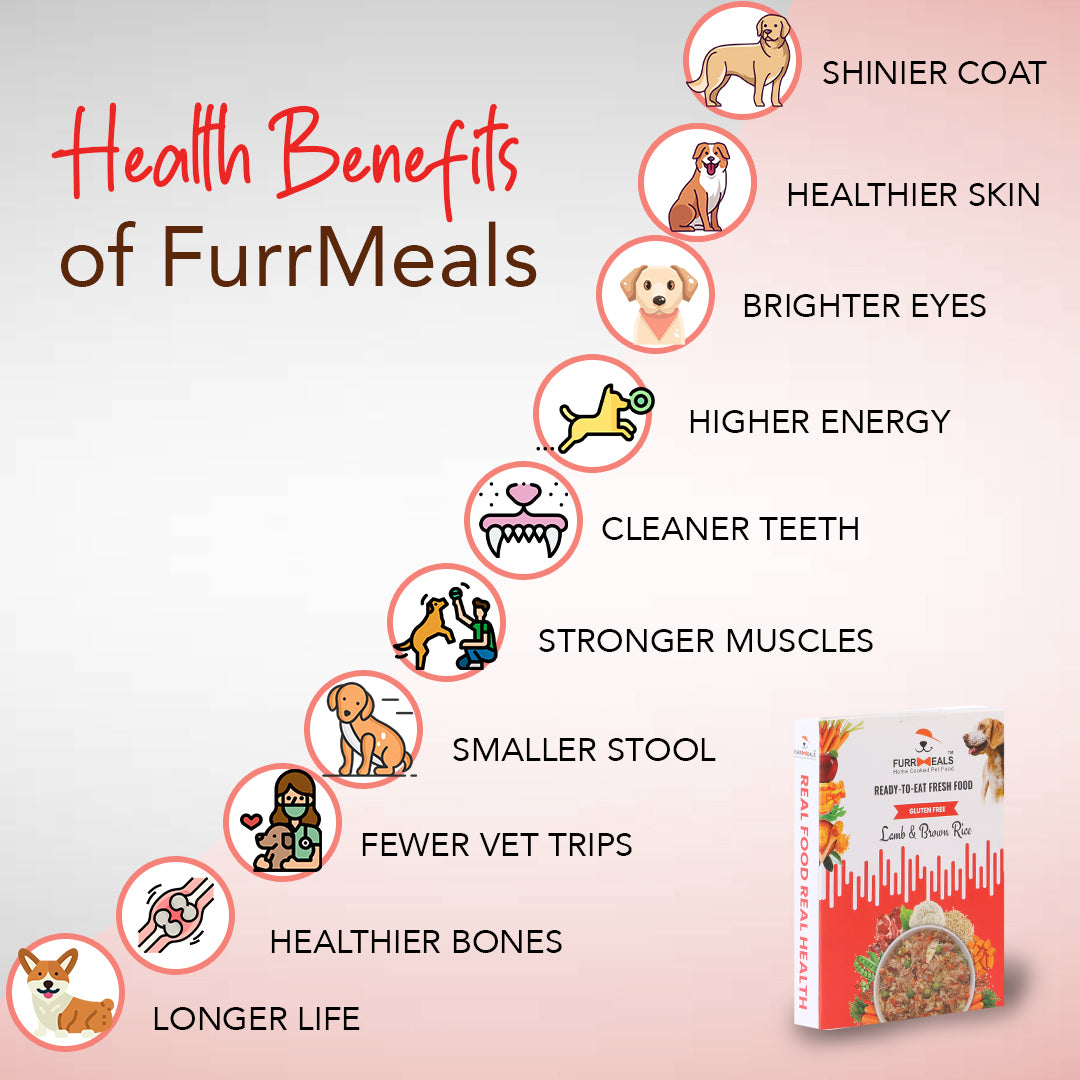 Benefits of outlet rice for dogs